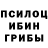 Псилоцибиновые грибы Cubensis melychst
