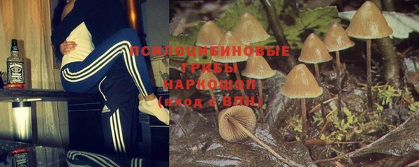дмт Балабаново